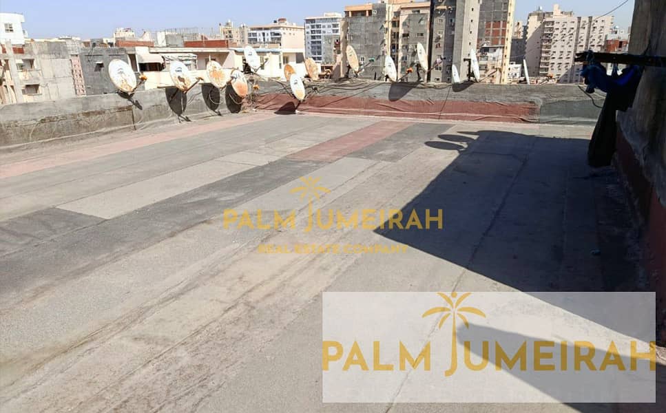 7 5834877487715305268. jpg