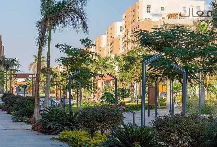 3 0cccf194-7aab-4b6a-ba88-18b3fe64deba (1). jpeg