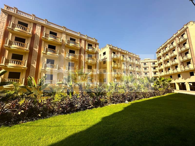 5 WhatsApp Image 2025-10-08 at 12.26. 00_16b0f10d. jpg