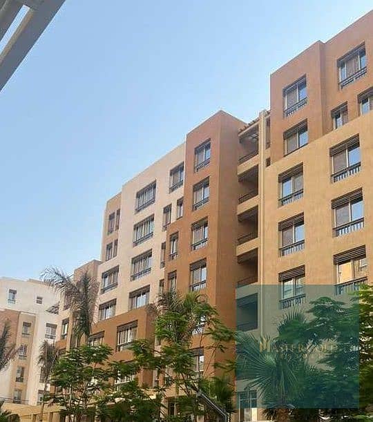 6 673372d61b95f798276051. jpeg