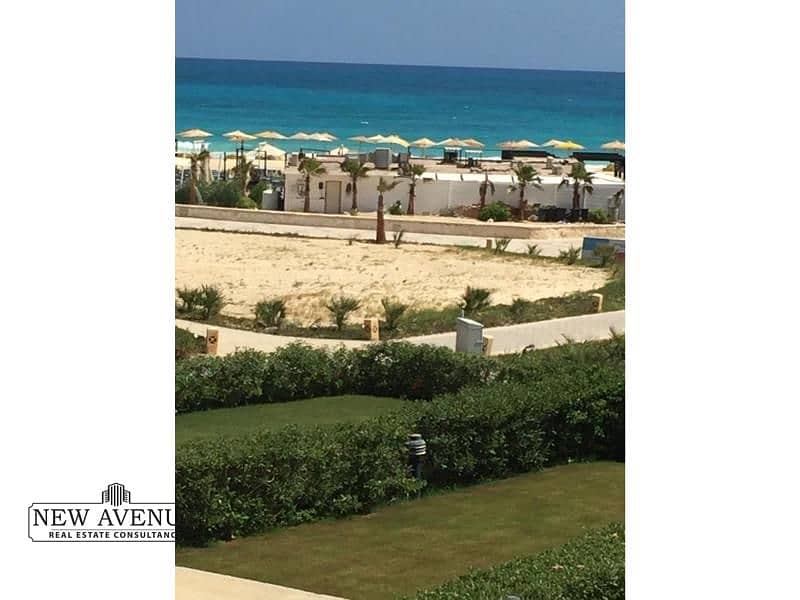 5 WhatsApp Image 2024-07-04 at 4.25. 11 PM. jpg