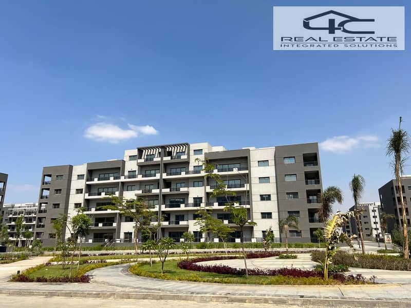 37253dfb-4e9e-4c81-b3ef-9e253f1ef8ad. jpeg 37253dfb-4e9e-4c81-b3ef-9e253f1ef8ad. jpeg