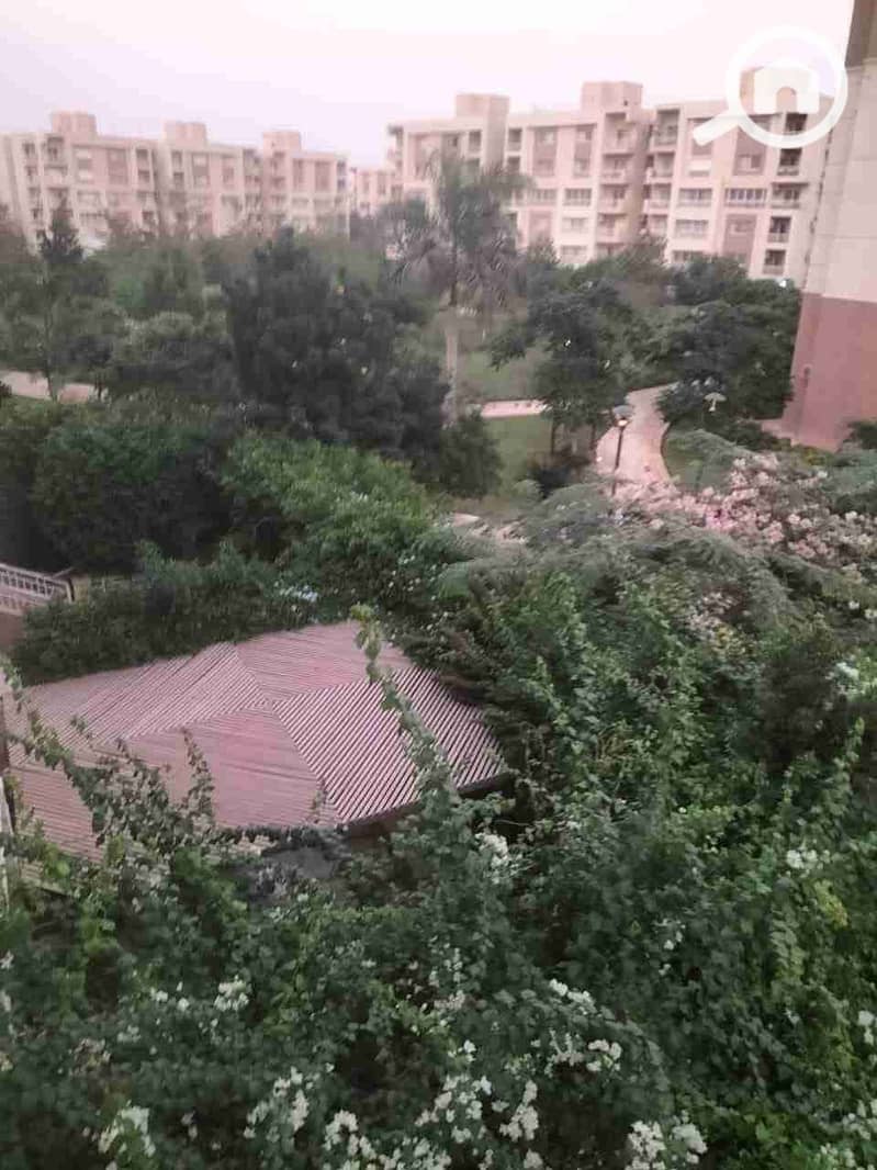 4 IMG-20251206-WA0115. jpg