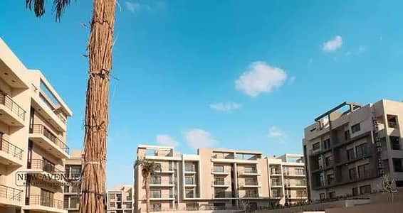 فلیٹ 3 غرف نوم للبيع في القاهرة الجديدة، القاهرة - WhatsApp Image 2025-12-09 at 12.13. 30_ffdfca17. jpg فلیٹ 3 غرف نوم للبيع في القاهرة الجديدة، القاهرة - WhatsApp Image 2025-12-09 at 12.13. 30_ffdfca17. jpg