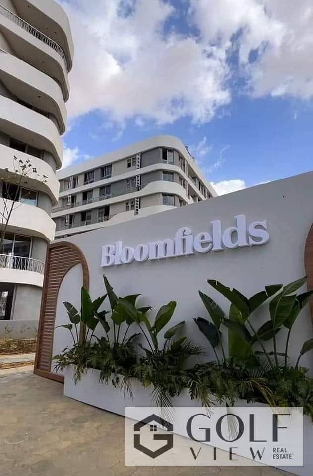 7 467590593_542654318687011_5862967687886762148_n. jpg