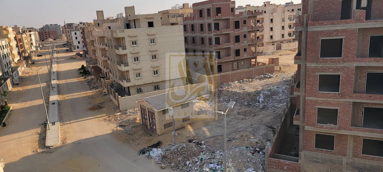 4 20251107_153352. jpg