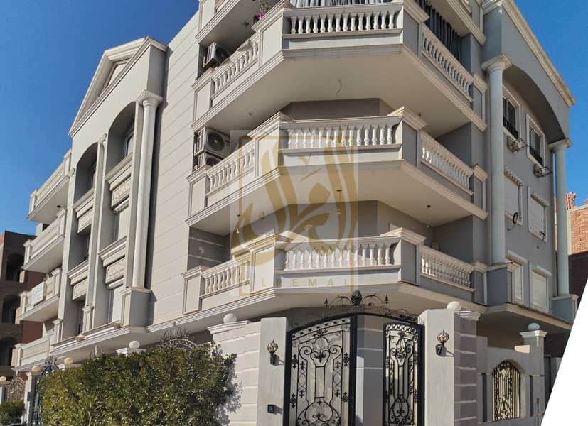 11 IMG-20250213-WA0049. jpg