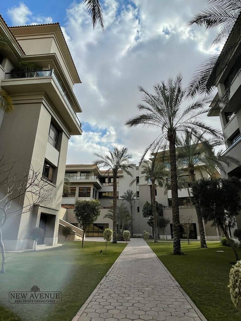 6 97644179-2e7d-4dad-8009-9e99a0cf976d. jpg