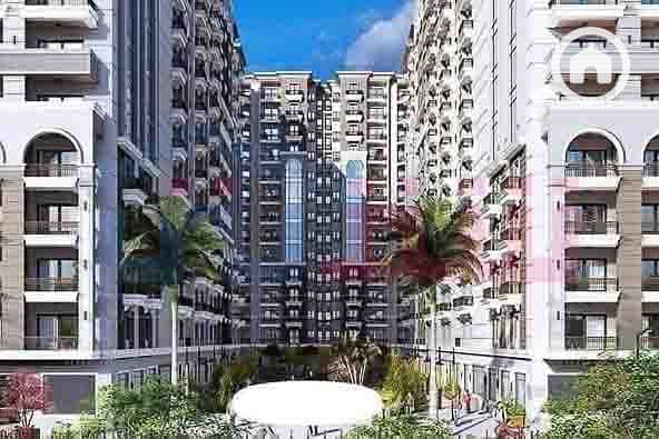 3 WhatsApp Image 2025-08-26 at 4.42. 07 PM (2). jpg