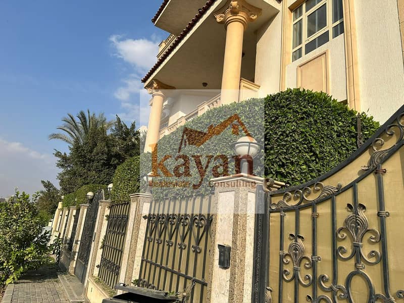 4cce16d6-baef-4753-b42f-9892036ca89a. jpg