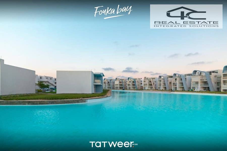 10 562396274_25363827083200874_6921591231116589252_n. jpg