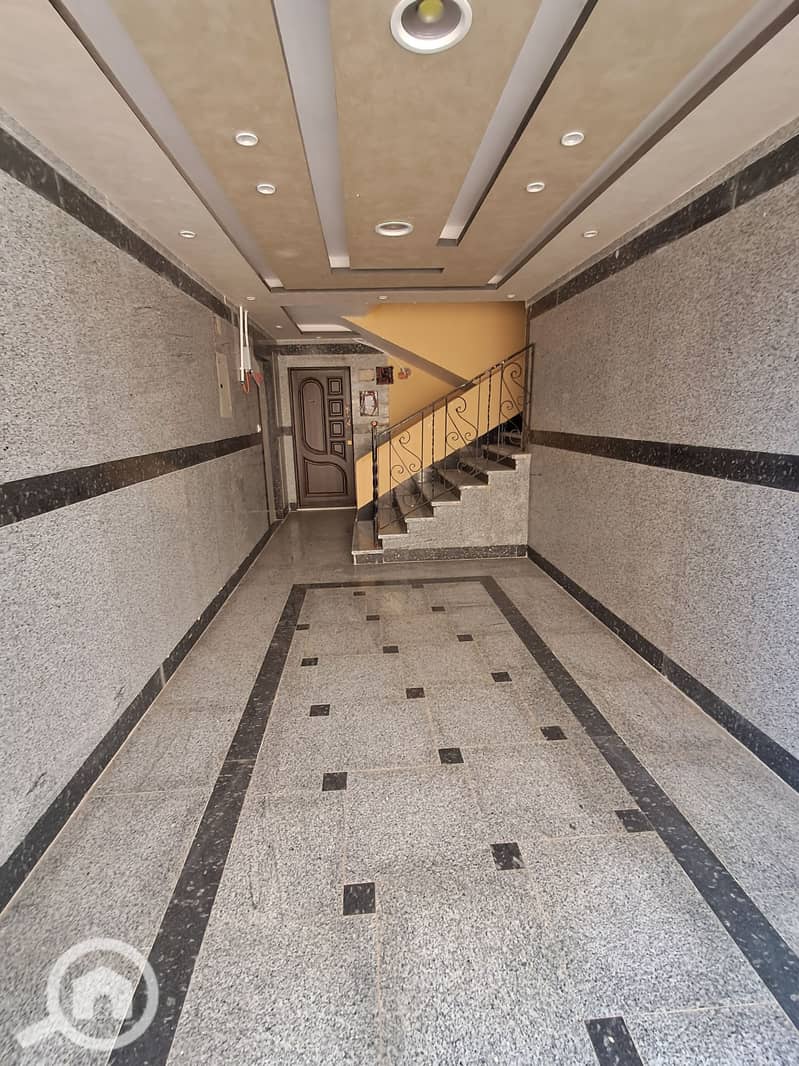 20 ٢٠٢٥١٢٠٦_١٥١٩٣٨. jpg