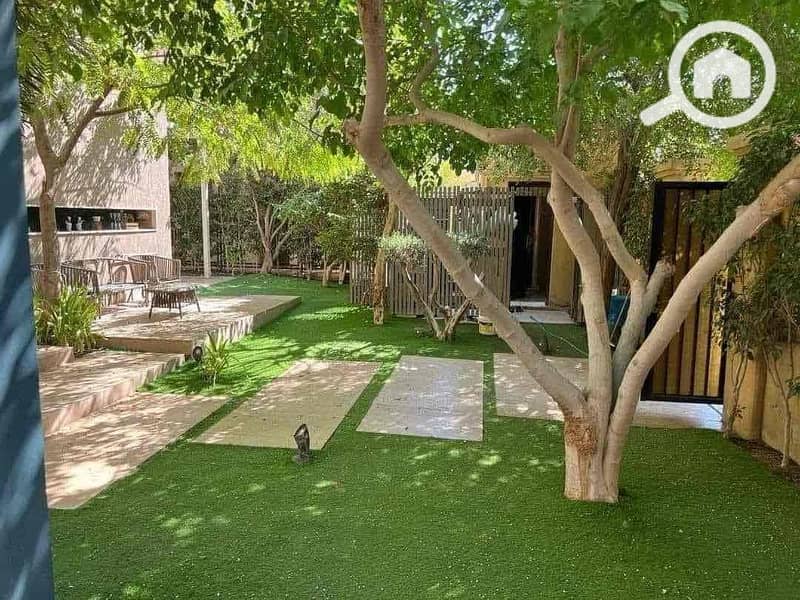 6 f99e72a5-43e3-4590-8434-dffbeb6f7f59. jpg