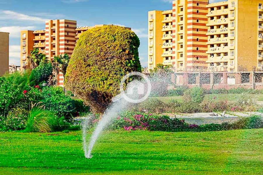 5 WhatsApp Image 2025-05-06 at 12.31. 22 PM (1). jpg