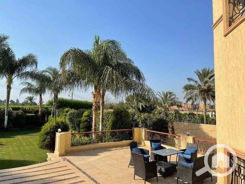 5 061f6243-78ff-4d3d-9870-973ed8cb5770. jpg