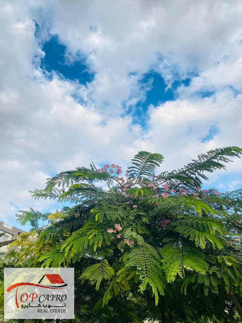 8 IMG-20251106-WA0268. jpg