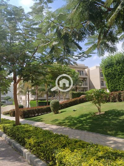 3 Bedroom Penthouse for Sale in New Cairo, Cairo - WhatsApp Image 2025-10-12 at 3.17. 19 PM. jpeg