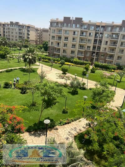 3 Bedroom Flat for Sale in Madinaty, Cairo - WhatsApp Image 2025-12-09 at 3.53. 10 AM. jpeg
