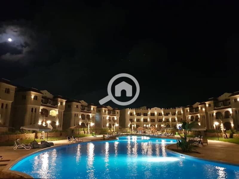 3 273207046_1255346038209354_8058833811461475169_n. jpg