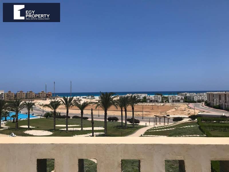 _files__files_WhatsApp Image 2025-05-27 at 16.55. 51_e3d4f627. jpg _files__files_WhatsApp Image 2025-05-27 at 16.55. 51_e3d4f627. jpg