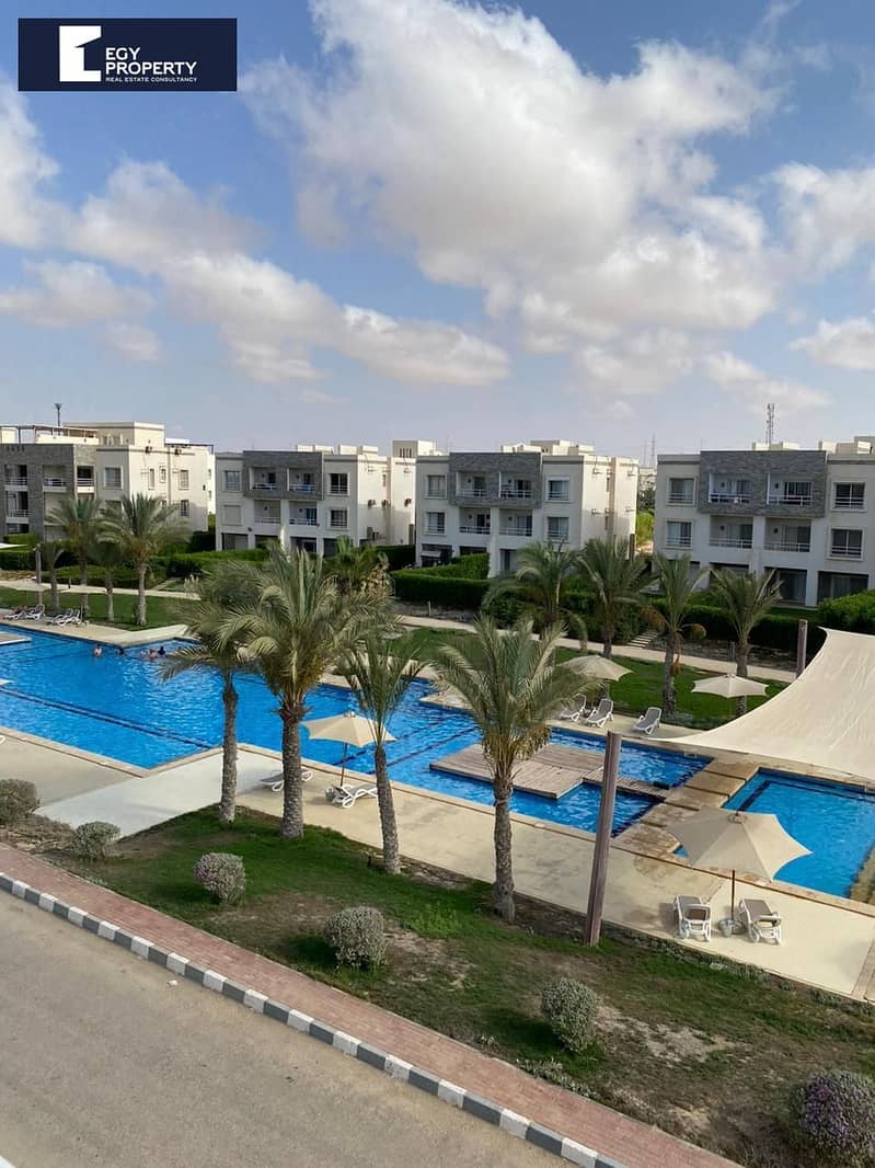 2 _files_WhatsApp Image 2025-05-27 at 16.55. 57_89fe1960. jpg