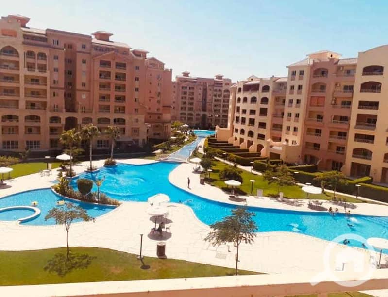 2 e7012469-b9fe-4c69-be4e-6f636dc7528f. jpg