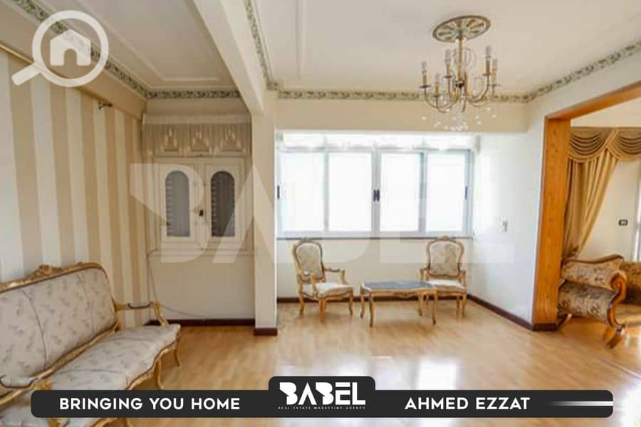 8 594551905_122168753000759991_595009273500981261_n. jpg