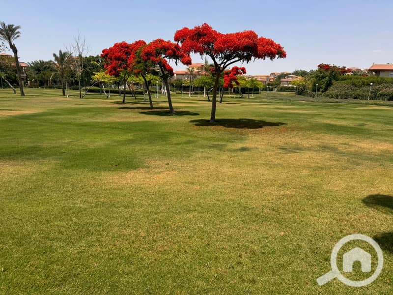 11 8e72c5aa-e5e3-4f87-a207-d42a72f1cc35. jpeg