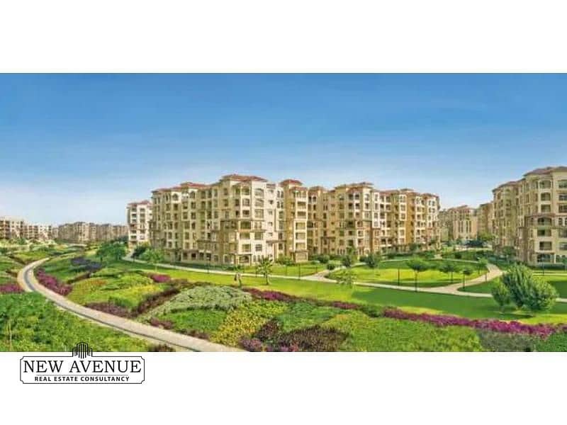 6 IMG-20241014-WA0022. jpg