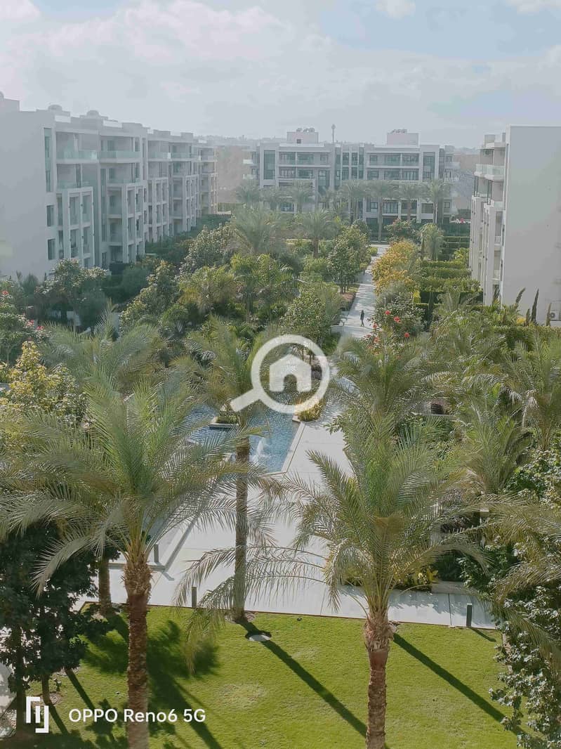 1000972614. jpg 1000972614. jpg