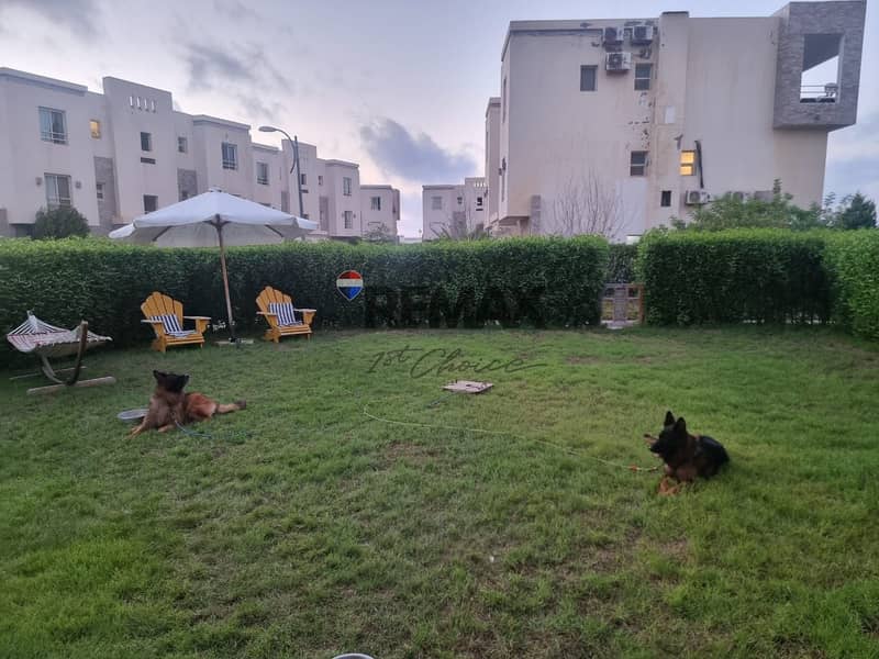 3 WhatsApp Image 2024-07-25 at 19.26. 21_ec40fe6a. jpg