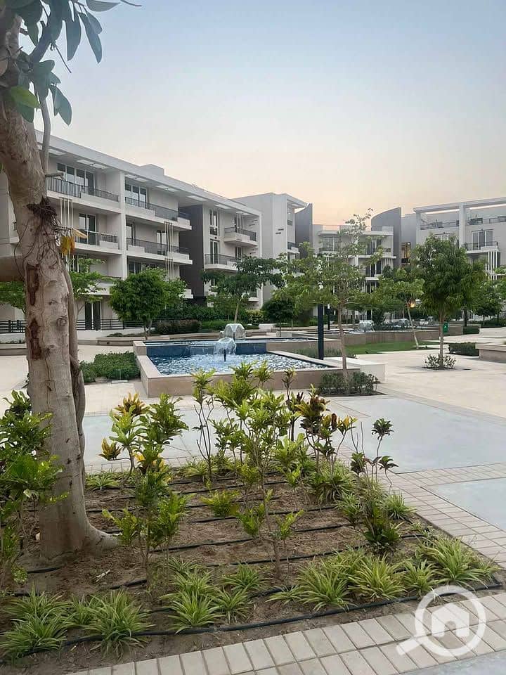 6 562247816_2338506733289384_8063640398136440392_n. jpg