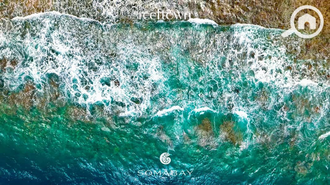 7 WhatsApp Image 2025-06-11 at 12.23. 49 PM. jpeg