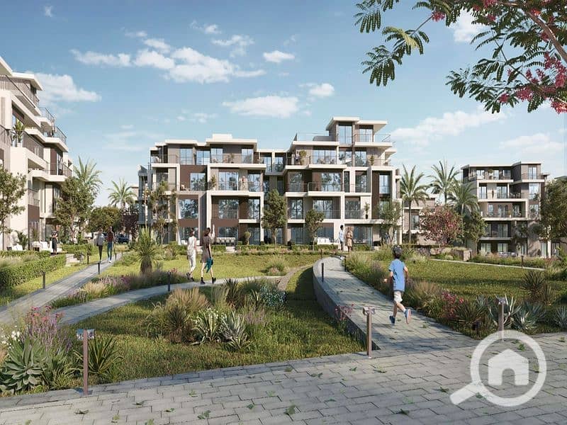 solana2_800x600. jpg