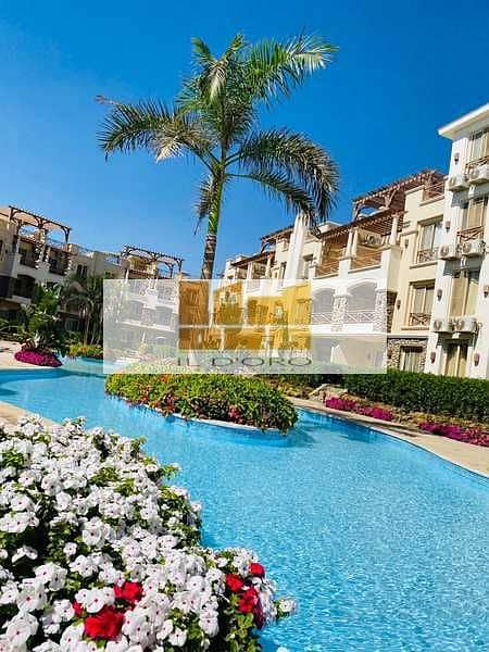 6 ihnbt26GWk6SY9vHJylka6vlW5tlMHcgSZFQYqY4. jpeg