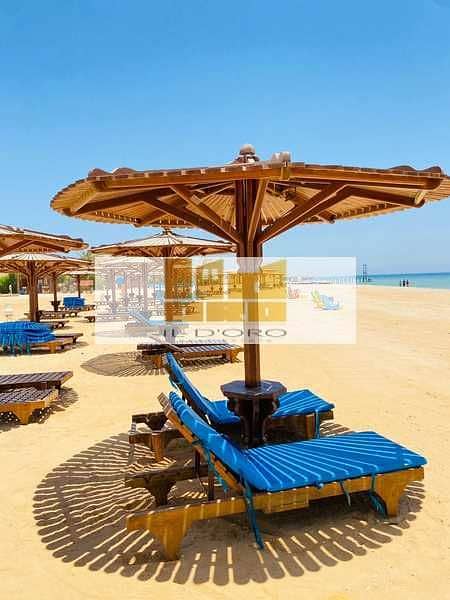 7 2W4LVczJOBgZ8VFhRCM7H9j1o5D5JTfdib1cVMmn. jpeg