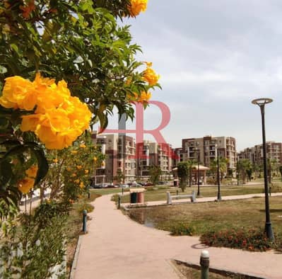 3 Bedroom Flat for Sale in New Cairo, Cairo - WhatsApp Image 2025-12-09 at 3.02. 23 PM. jpeg 3 Bedroom Flat for Sale in New Cairo, Cairo - WhatsApp Image 2025-12-09 at 3.02. 23 PM. jpeg