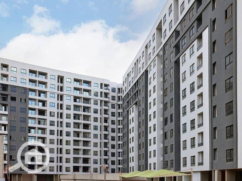 8 قطاميه جيت . jpg