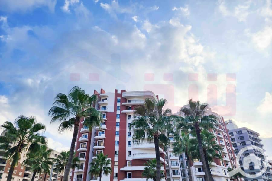 2 IMG-20251122-WA0001. jpg