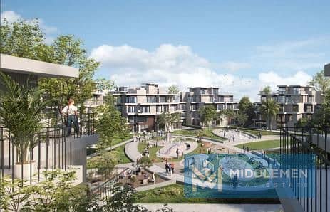 3 Solana_solana_3. jpg