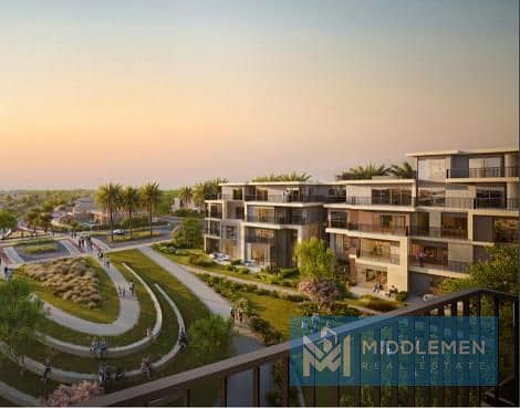 10 Solana_solana_6. jpg