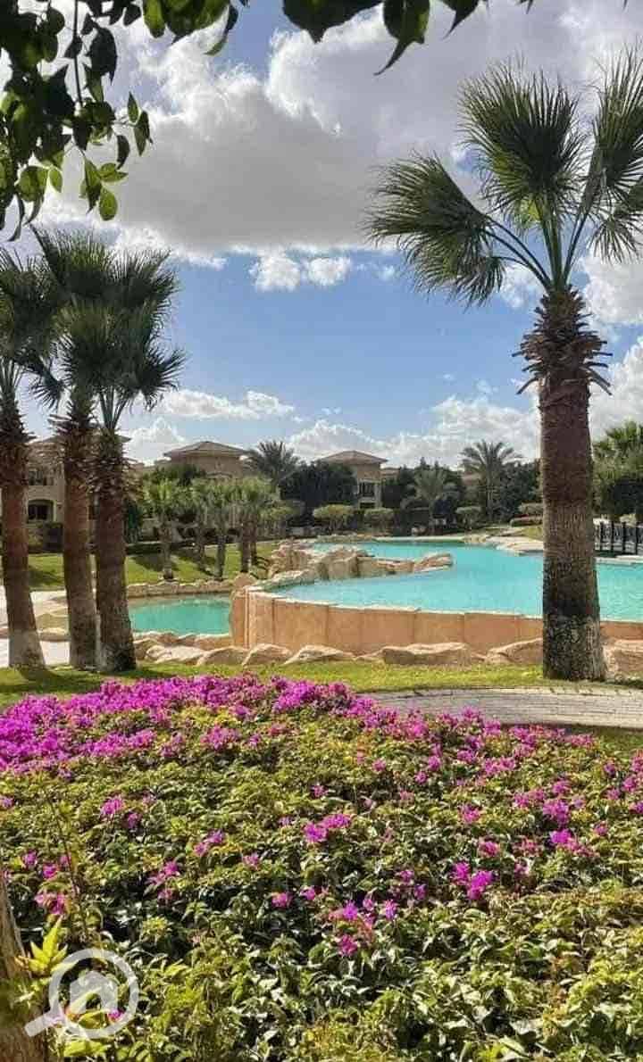 10 98e78a52-a253-4820-86f0-03f850ca68b9. jpg