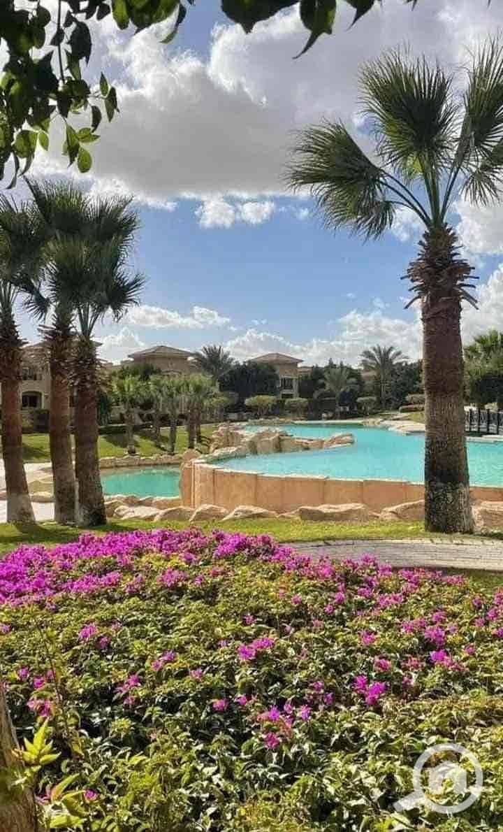 7 98e78a52-a253-4820-86f0-03f850ca68b9. jpg