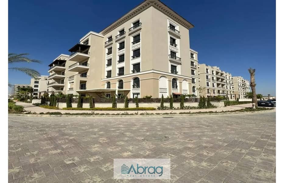 7 8081517-752ddo. jpg