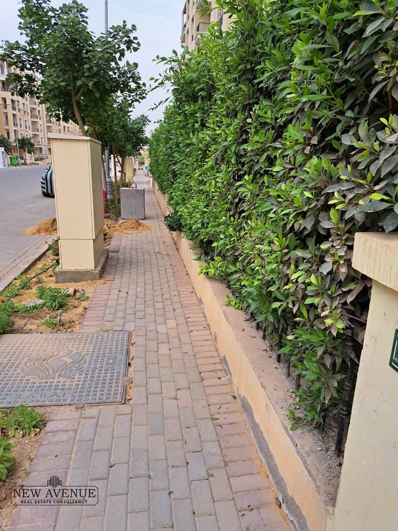 11 WhatsApp Image 2025-12-09 at 3.02. 45 PM (2). jpeg