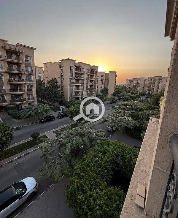 7 55505e91-4524-4806-b165-1f11cb35d2be. jpeg