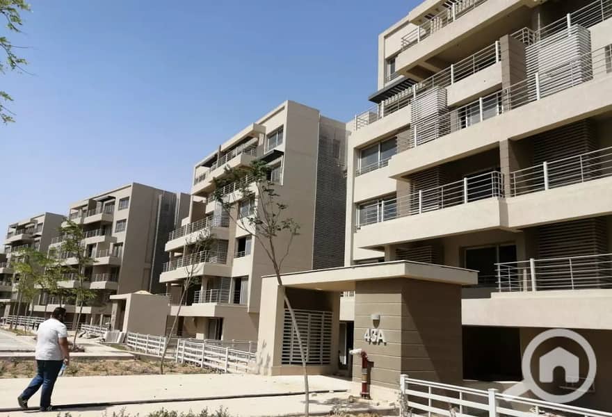 4 287609481_4866117136845111_5724015129117899689_n. jpg