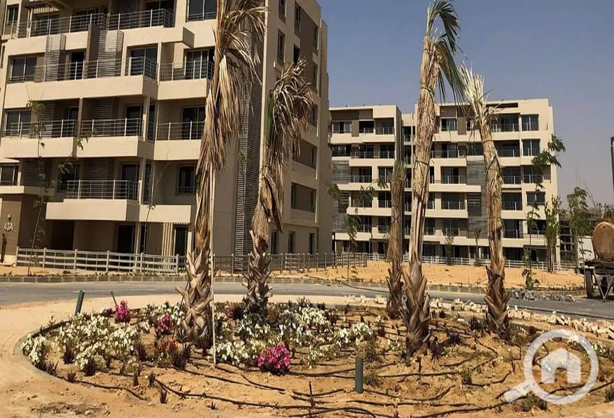 12 287766625_4866117153511776_3506312400409091071_n. jpg