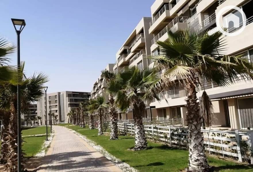 13 287769593_4866117120178446_2713307480519348311_n. jpg