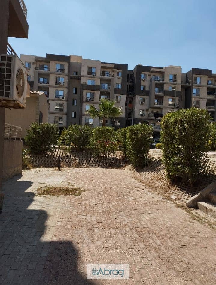 6 506735165_3776333562656497_202469278699492396_n. jpg